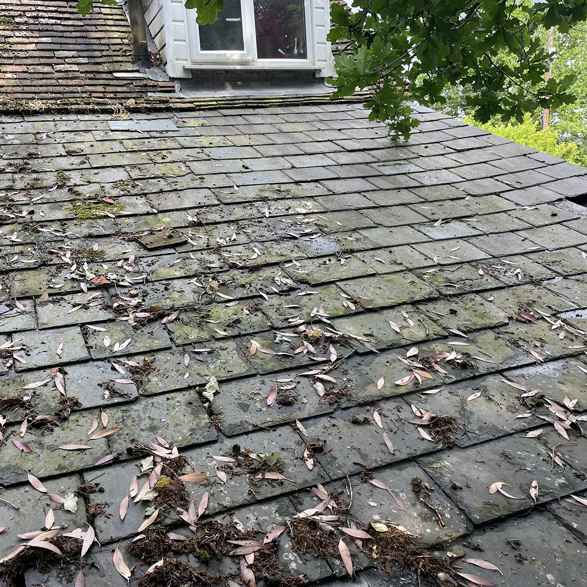 Renewed Rotten tiled roof